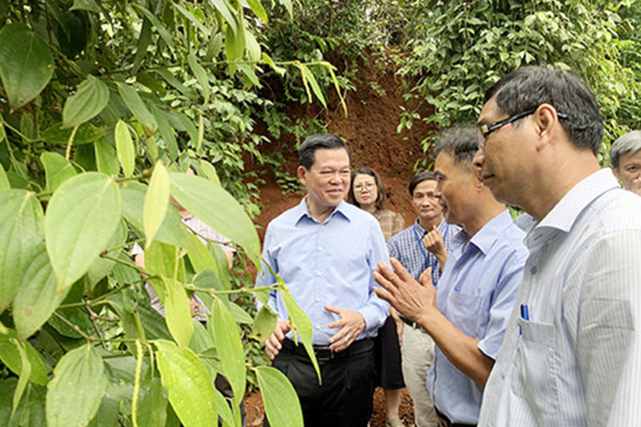 Image Not Found